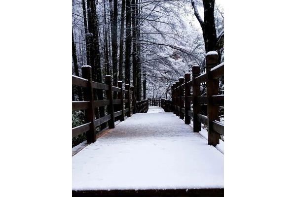 描写雪的唯美诗句