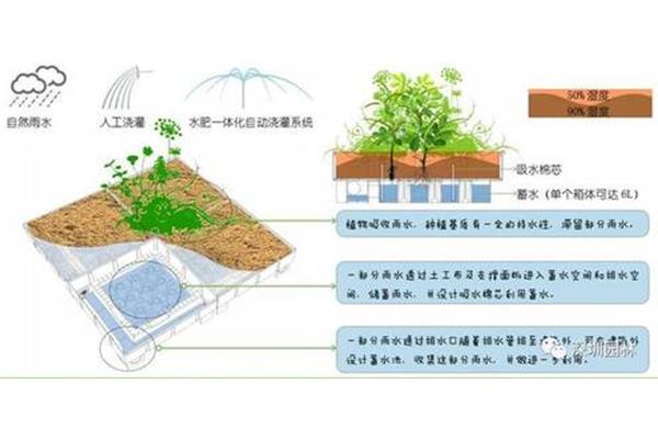 屋顶花园设计说明