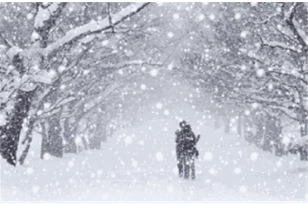 描写雪的唯美诗句