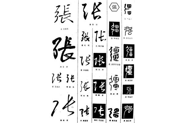 带张字的成语