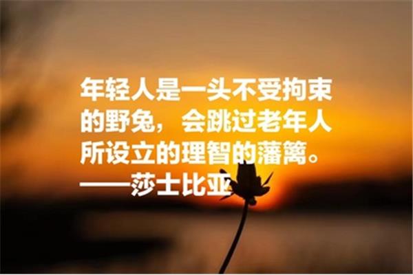 青年的名言