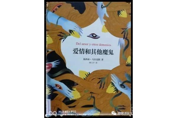 爱情和其他魔鬼