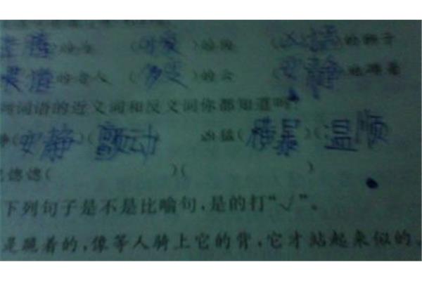 恍恍惚惚的反义词