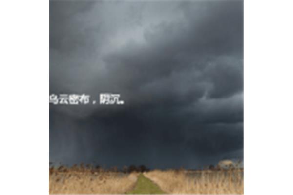 描写下雨的句子