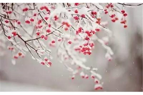 描写雪的唯美诗句