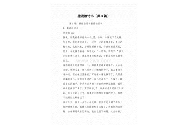 撒谎检讨书