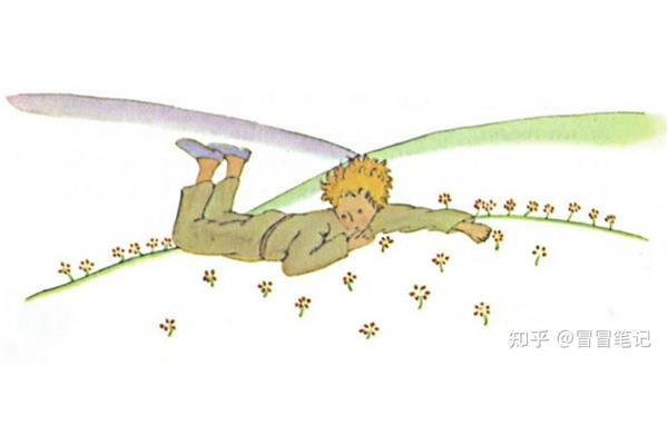 小王子讲了什么