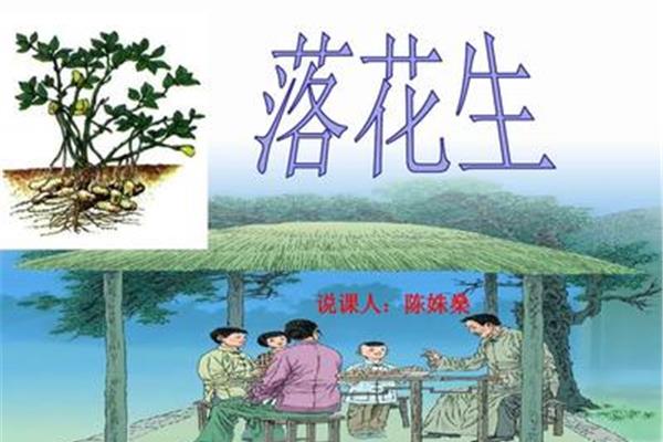 落花生ppt