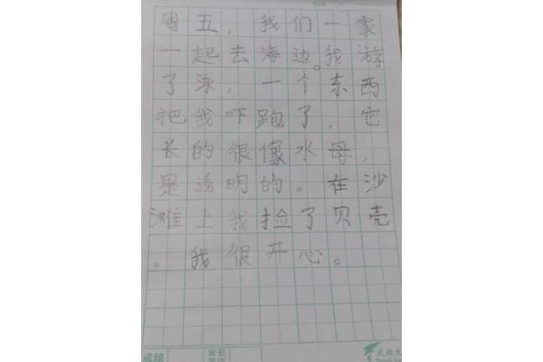 一年级周记怎么写