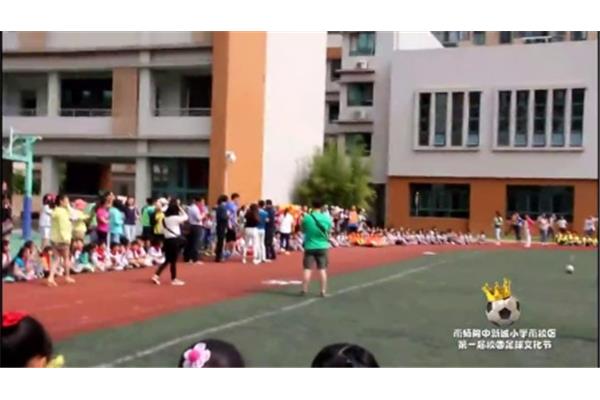 南师附中新城小学