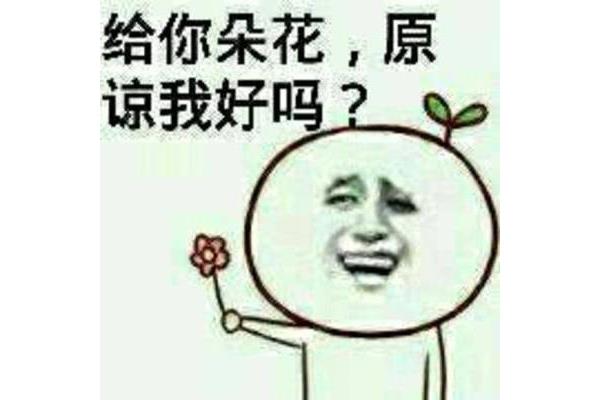 原谅我好吗