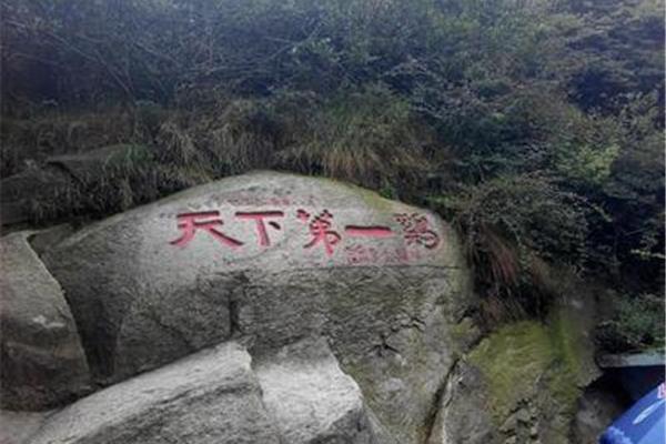 天下第一鸡