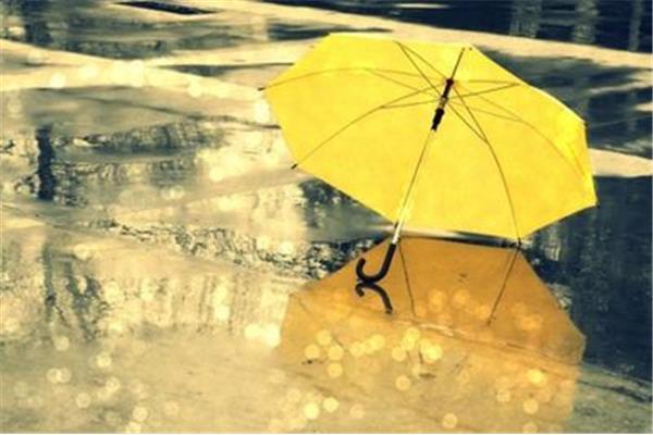 描写下雨的句子