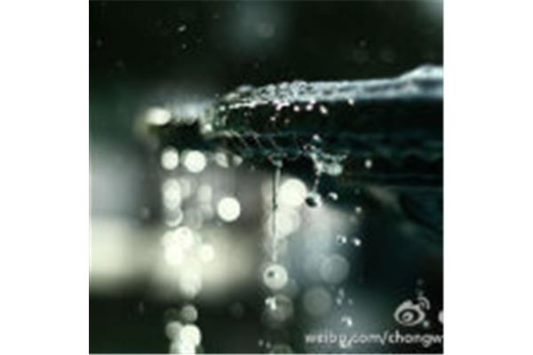 描写下雨的句子
