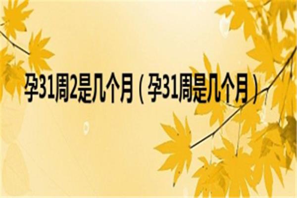 31周是几个月
