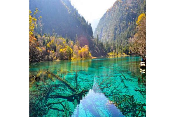到九寨沟旅游