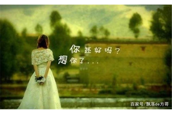 原谅我好吗