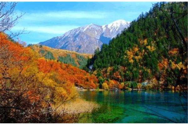 到九寨沟旅游
