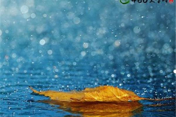 描写下雨的句子