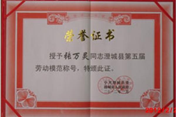 模范丈夫奖状图片