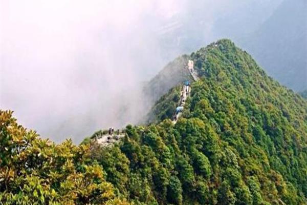 凤凰山海拔多少米