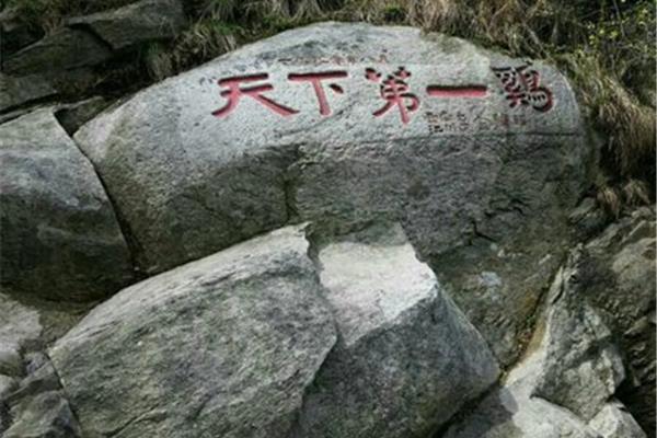 天下第一鸡
