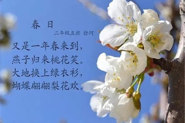 春天有关的诗