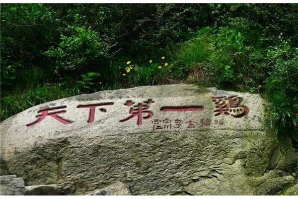 天下第一鸡