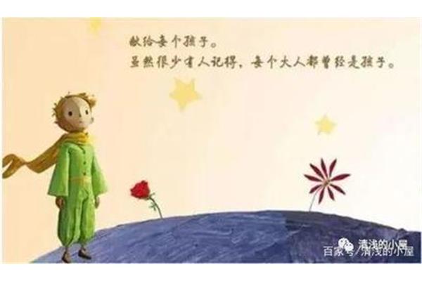 小王子讲了什么