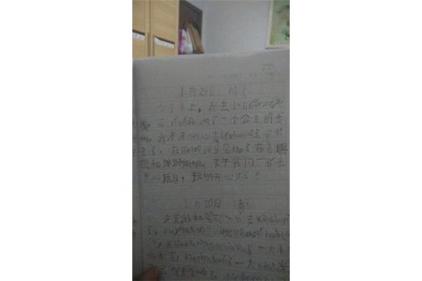 雯雯日记112
