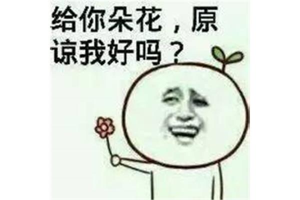原谅我好吗