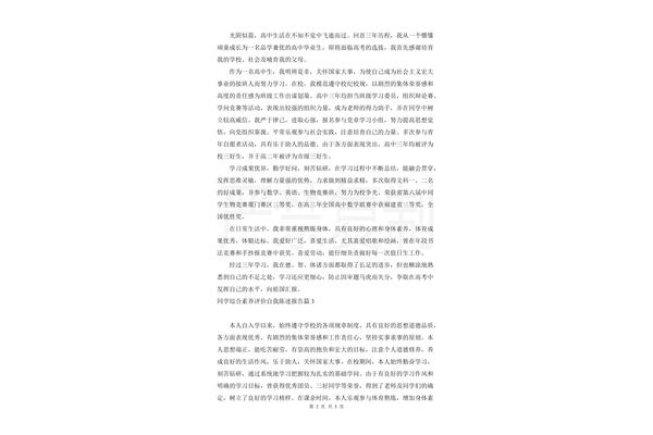 自我评价报告
