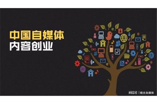 新手如何做自媒体
