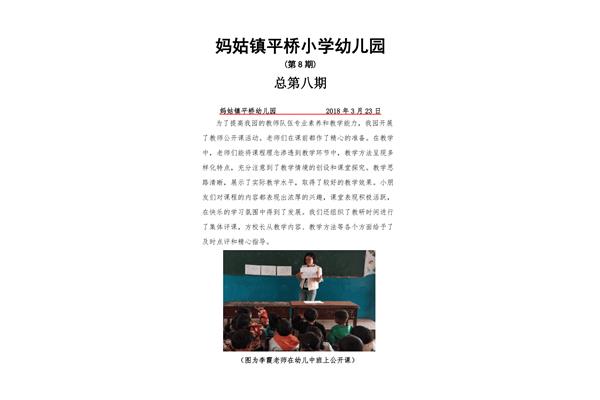 幼儿园公开课简报