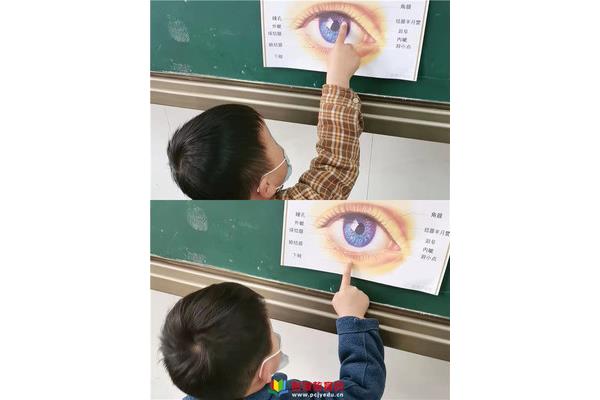 老师的眼睛像什么