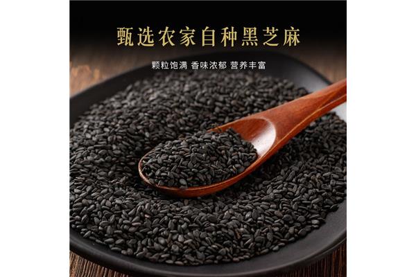 黑芝麻科技