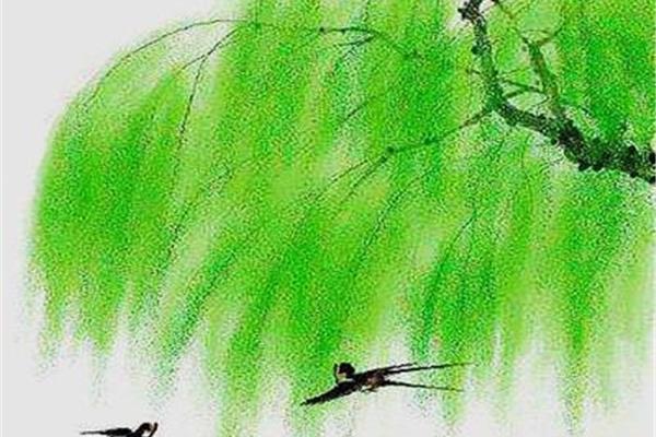 描写柳树的诗句