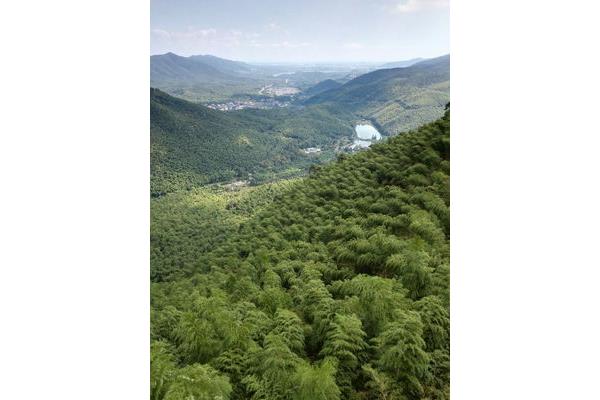 登山性滋味