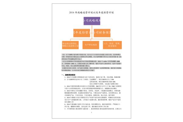 公司战略规划