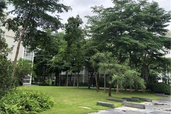 北大研究生院