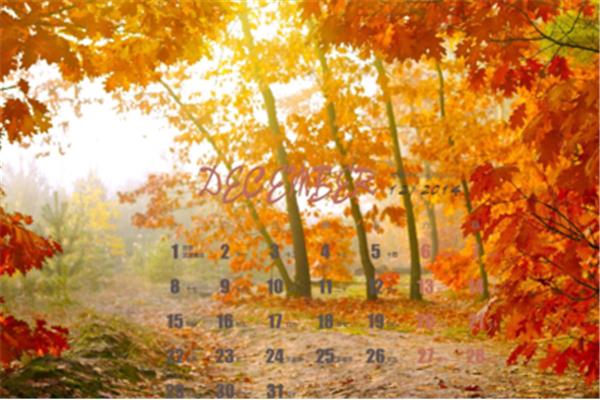 秋天景色的诗句