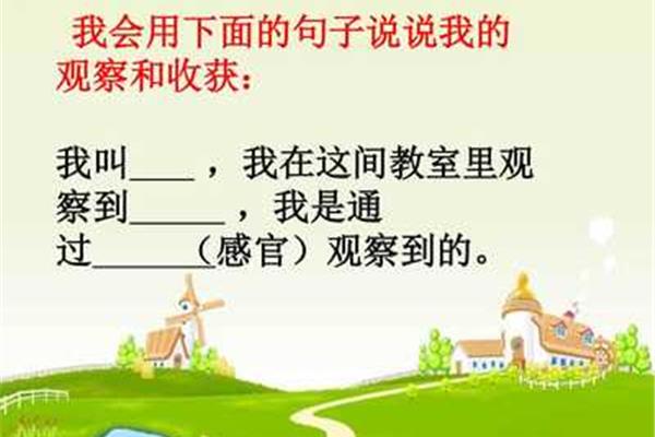 我的收获一年级