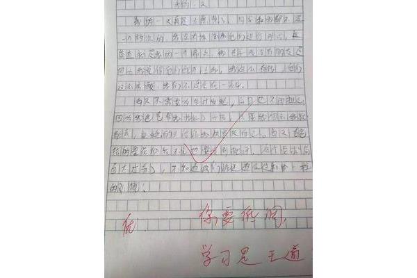 我们的什么作文
