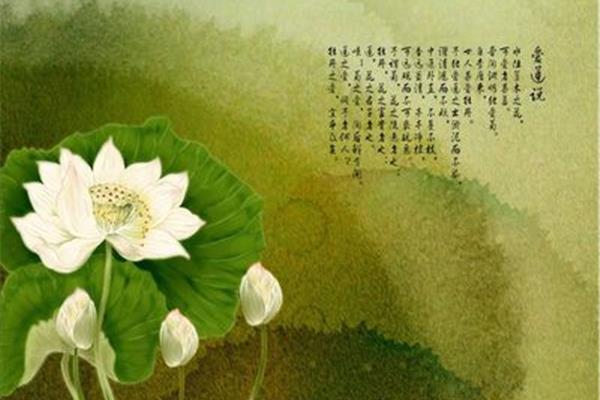 爱莲说文言文
