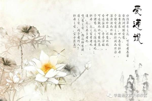 爱莲说文言文