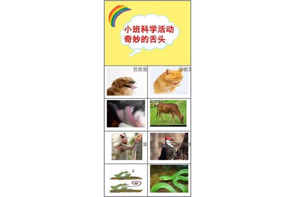 动物舌头的作用
