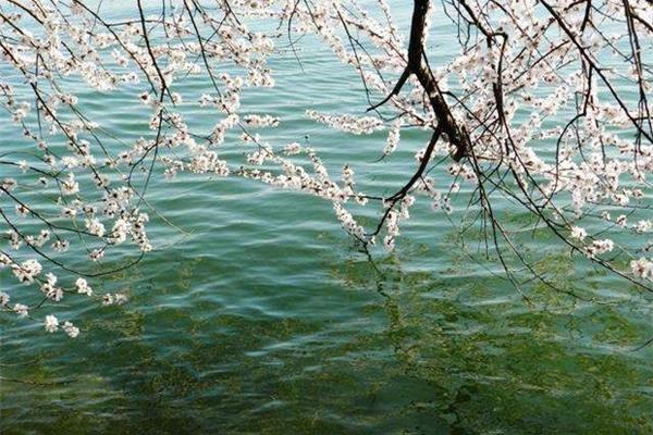 描写水的诗