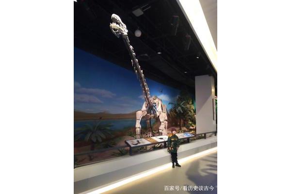内蒙古自然博物馆