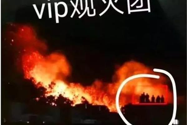 什么若观火