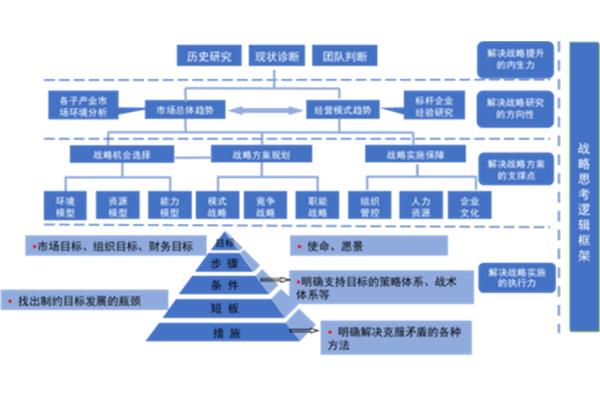 公司战略规划